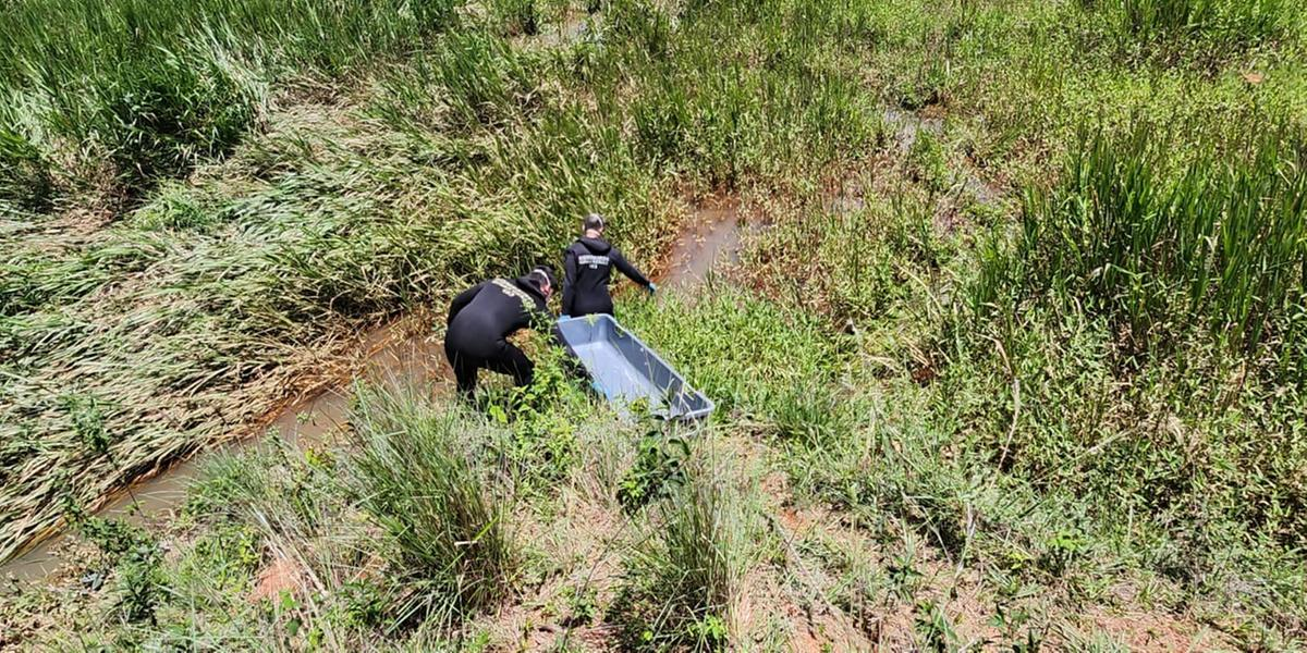 URGENTE: Nossa QUERIDA atriz é encontrada morta em sua casa: ‘Corpo est… Ver mais