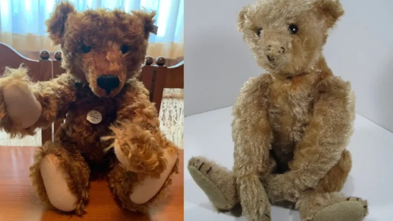 Mulher Compra Urso Em Bazar Com O Filho, Mas Fica Em Choque Com O Que Descobre Dentro Do Brinquedo; ‘Tinha Um Pedaço De… Ver Mais