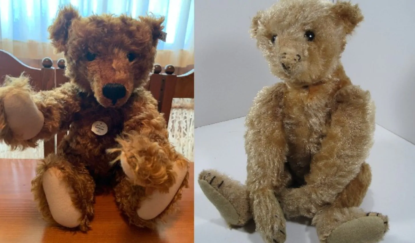 Mulher Compra Urso Em Bazar Com O Filho, Mas Fica Em Choque Com O Que Descobre Dentro Do Brinquedo; ‘Tinha Um Pedaço De… Ver Mais